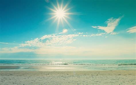 “De Zon en de Zee” Een Betoverende Ode aan De Natuurlijke Wereld Met Gedetailleerde Realistische Elementen!